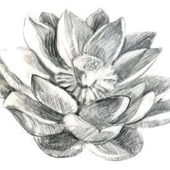 Meet your Posher, Stacey - Picture 2 of 4